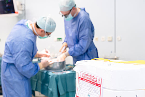 Transplantationschirurgie