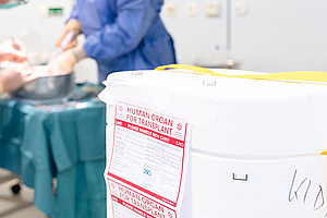 Organbox mit Niere im OP